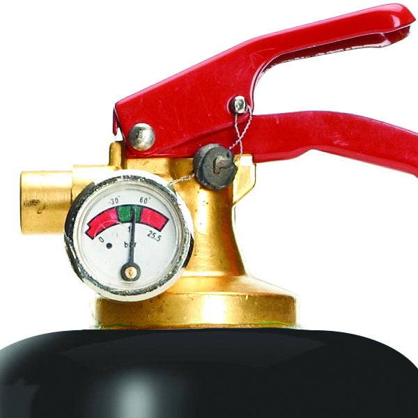 Design Fire Extinguisher - Deer
