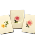 Rose Assortment Notecards with Matching Envelopes - Set of 8