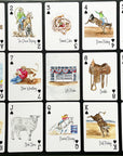 Let's Rodeo Cards