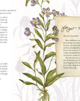 The Way of the Wildflower : Gospel Meditations to Unburden Y