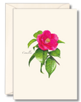 Camillia Notecard Set