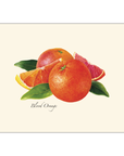 Citrus Assortment Notecards with Matching Envelopes - Set of 8