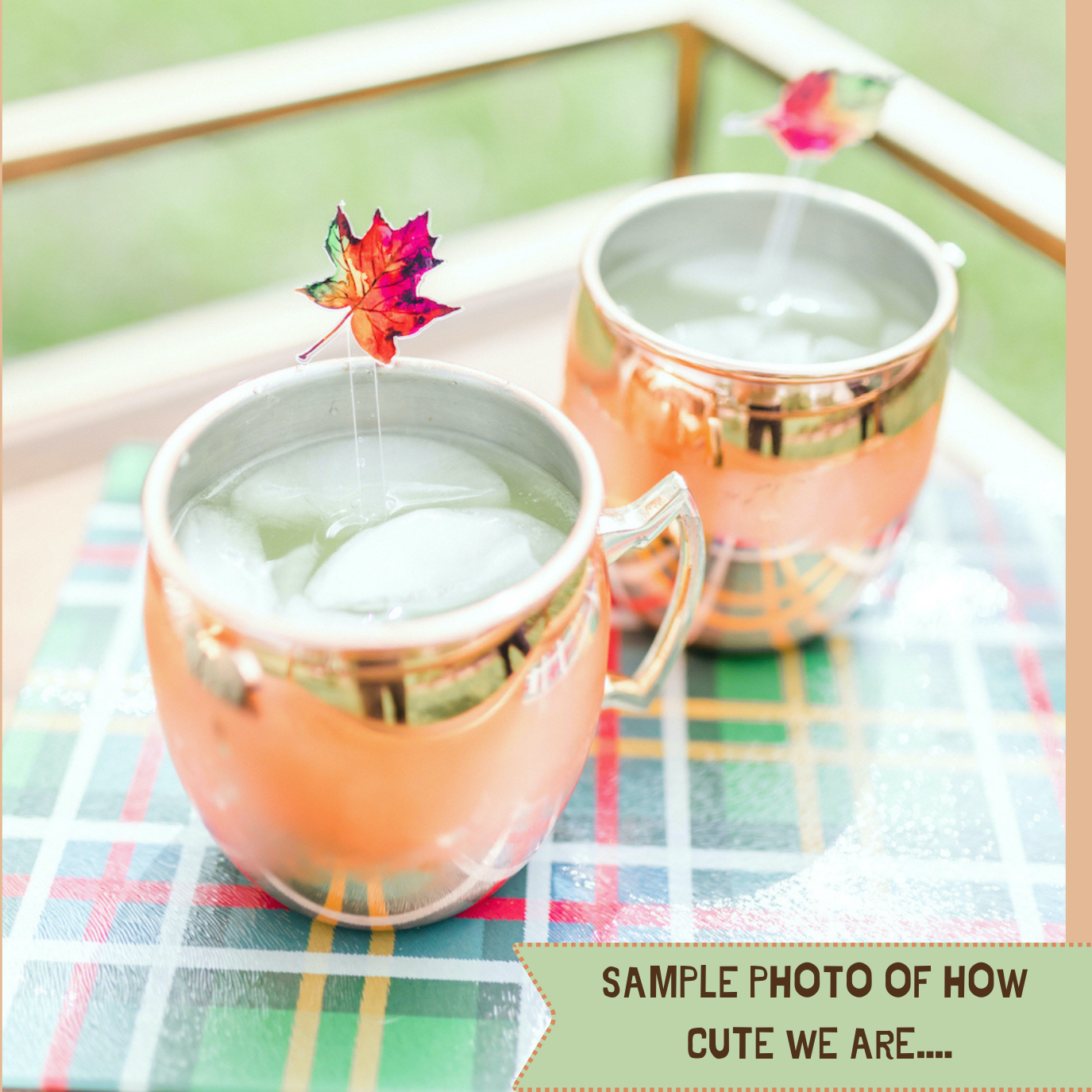 Turkey Acrylic Stir Sticks