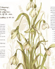 The Way of the Wildflower : Gospel Meditations to Unburden Y