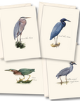 Heron Assortment Notecards with Matching Envelopes - Set of 8