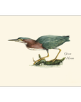 Heron Assortment Notecards with Matching Envelopes - Set of 8