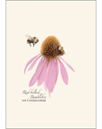 Bumblebee Assortment Notecards with Matching Envelopes - Set of 8