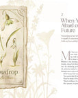 The Way of the Wildflower : Gospel Meditations to Unburden Y