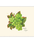 Grape Assortment Notecards with Matching Envelopes - Set of 8