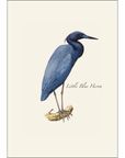 Heron Assortment Notecards with Matching Envelopes - Set of 8