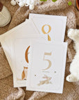 Baby Milestone Cards