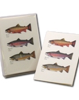 Trout Trio Notecards with Matching Envelopes - Set of 8
