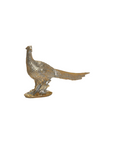 Golden Pheasants