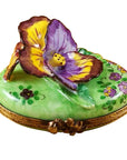 Pansy Purple and Yellow Box