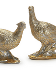 Golden Pheasants