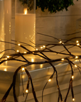 Willow Vine Lights