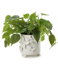 Butterfly Footed Cachepot with Sculpted Butterflies