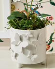 Butterfly Footed Cachepot with Sculpted Butterflies
