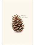 Pine Cone Notecards with Matching Envelopes - Set of 8