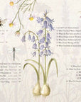 The Way of the Wildflower : Gospel Meditations to Unburden Y