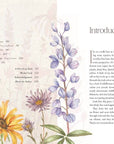 The Way of the Wildflower : Gospel Meditations to Unburden Y