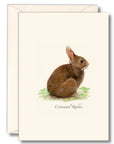 Cottontail Rabbit Notecards with Matching Envelopes - Set of 8