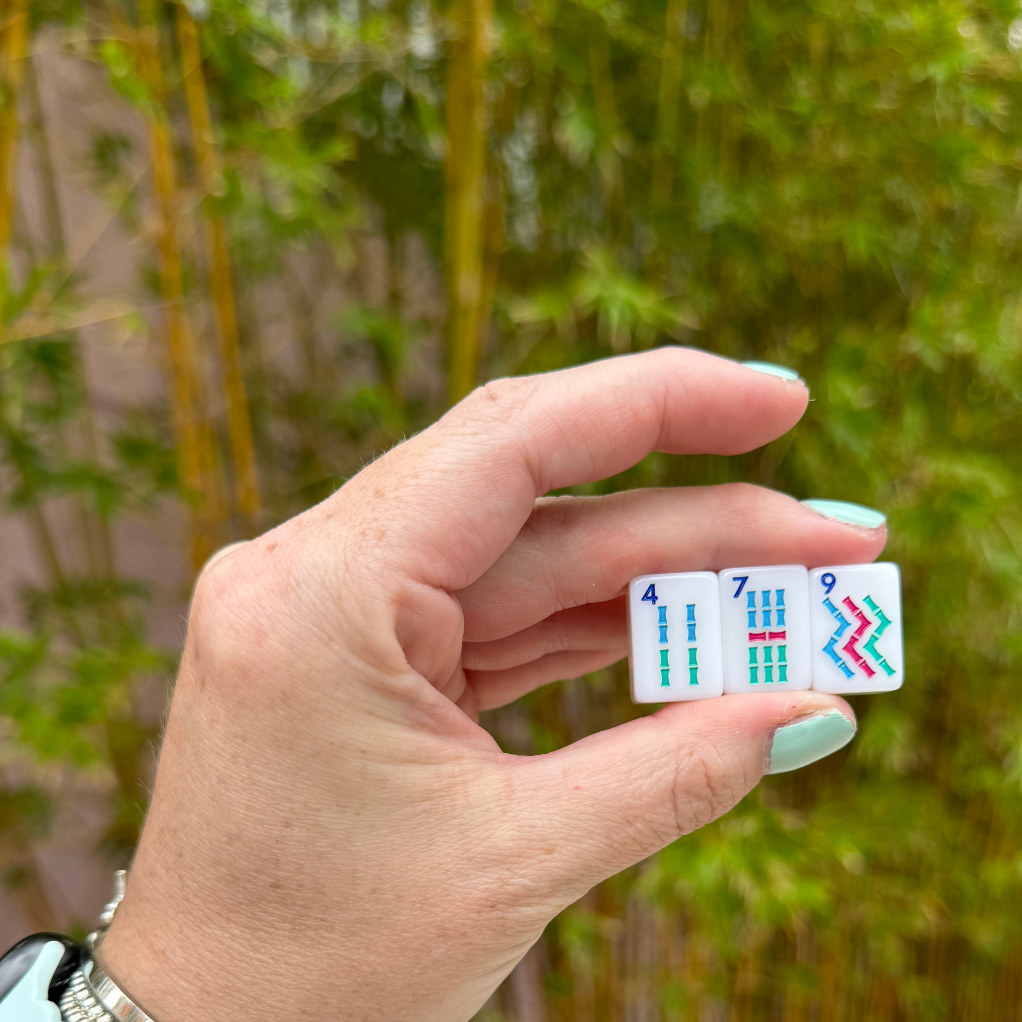 Mahjong Mini Travel Anywhere Series