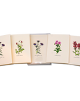 Meadow Wildflower Assortment Notecards with Matching Envelopes - Set of 8