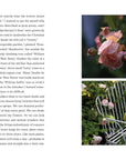 Garden Maker