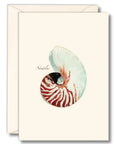 Nautilus Notecards with Matching Envelopes - Set of 8