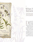 The Way of the Wildflower : Gospel Meditations to Unburden Y