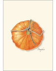 Pumpkin Notecards with Matching Envelopes - Set of 8