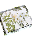 Botanical Daisy Folded Note Card