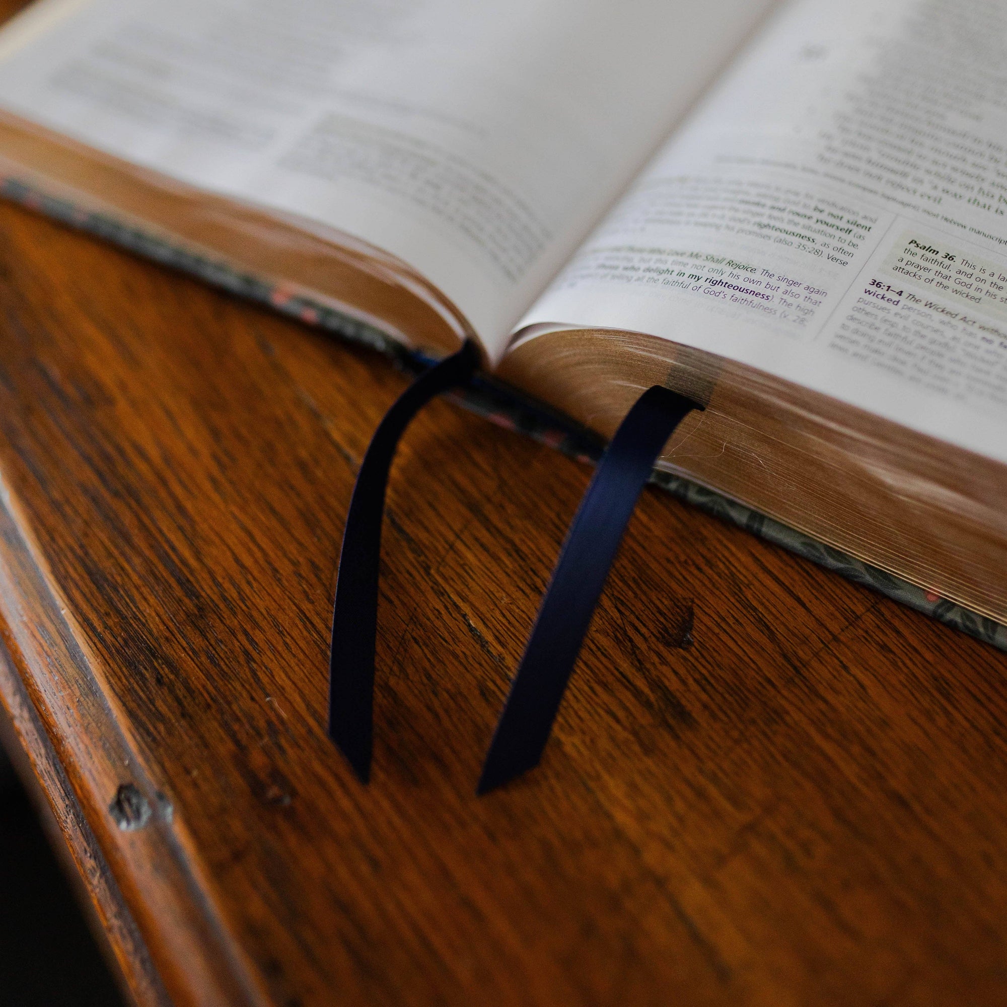 ESV Study Bible® | Abide