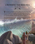 The Complete Illustrated Children's Bible