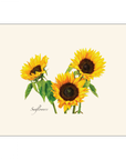 Sunflowers Notecards with Matching Envelopes - Set of 8