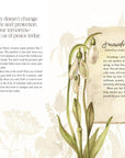 The Way of the Wildflower : Gospel Meditations to Unburden Y