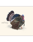 Wild Turkey Notecards with Matching Envelopes - Set of 8