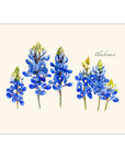 Bluebonnet Notecards with Matching Envelopes - Set of 8