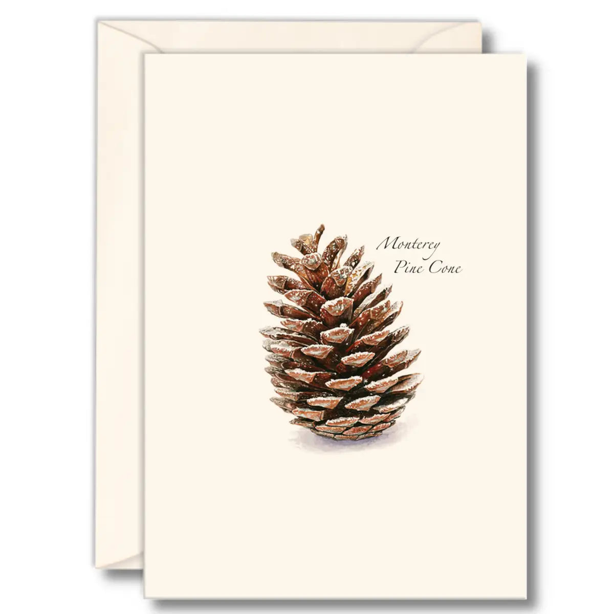 Pine Cone Notecards with Matching Envelopes - Set of 8