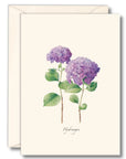 Hydrangeas Notecards with Matching Envelopes - Set of 8