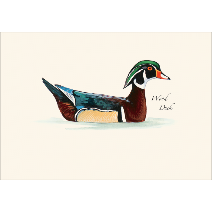 Sibley Duck Assortment Notecards with Matching Envelopes - Set of 8