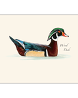 Sibley Duck Assortment Notecards with Matching Envelopes - Set of 8
