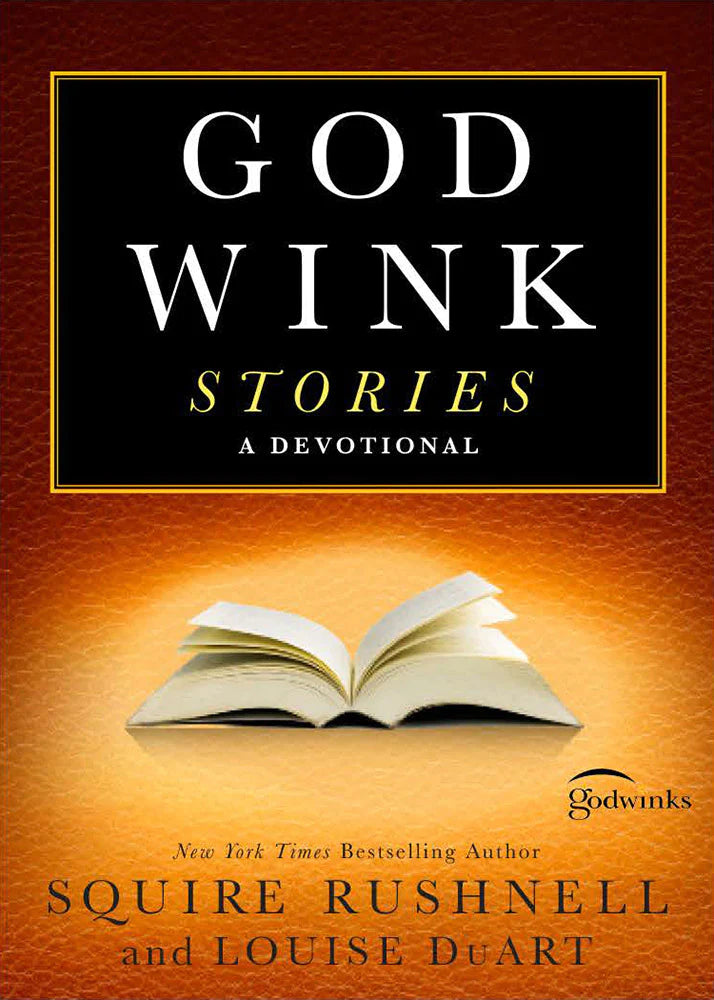 Godwink Stories: A Devotional