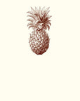 Pineapple Place Card