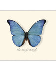 Blue Morpho Butterfly Notecards with Matching Envelopes - Set of 8