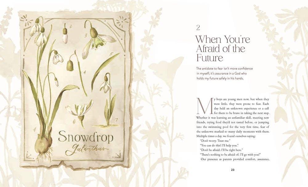 The Way of the Wildflower : Gospel Meditations to Unburden Y
