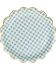 Round paper plate with blue and white checkered pattern on a white background