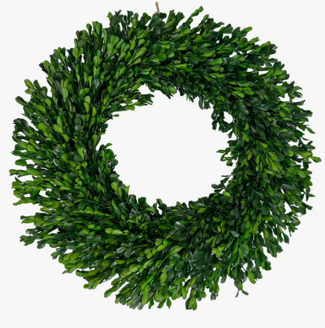A preserved boxwood wreath with hanger, featuring meticulously preserved boxwood leaves in a circular shape, radiating a rich, vibrant green hue.