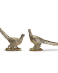 Golden Pheasant set 
